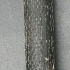 Callaway Big Bertha SteelHead III 5 Wood Regular Graphite Shaft SteelHead Grip -MACTEC Golf Shop 32 c48ec5cb 45ff 4a73 af74 15fac8dddb72