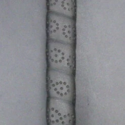 Odyssey Dual Force 770 Putter Steel Shaft Playing Length 85cm Odyssey Grip 24 Odyssey Dual Force 770 Putter Steel Shaft Playing Length 85cm Odyssey Grip -MACTEC Golf Shop 32 e92eb1e1 ec9d 41c8 ba6b a524e2b4480e